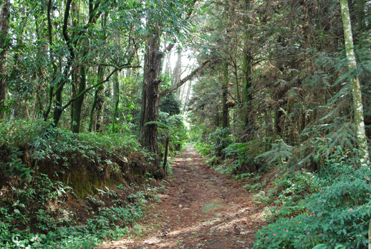 slideshow image